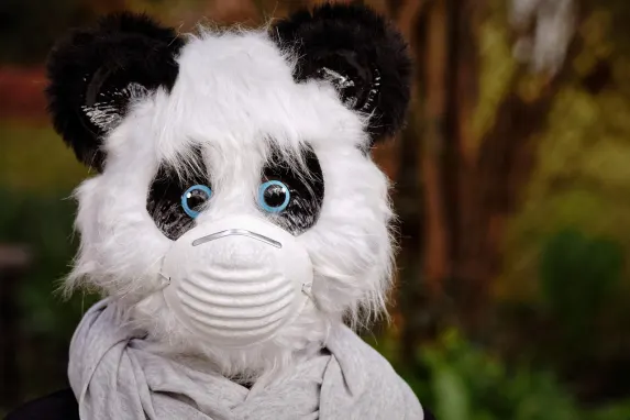 טופבט קזינו תמיכה